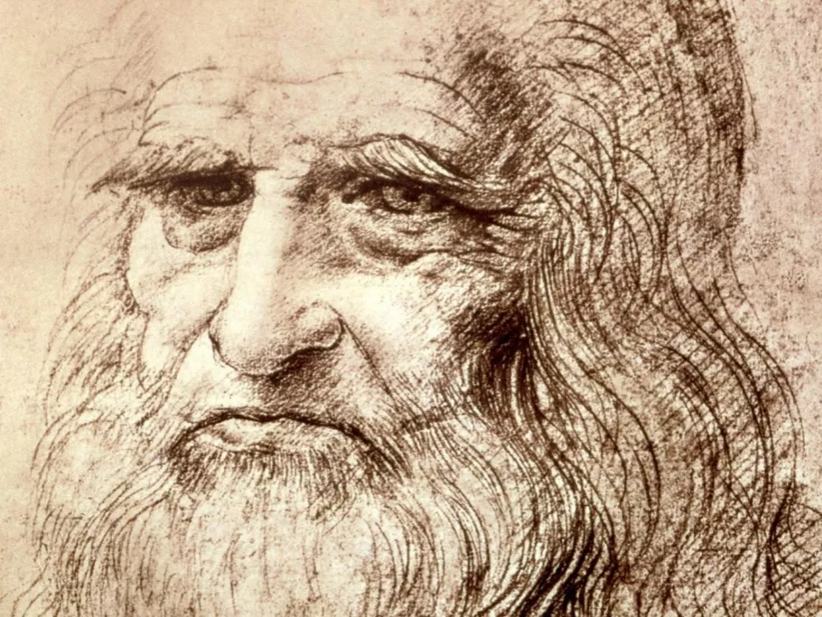 Lassan eltűnik Leonardo arcképe