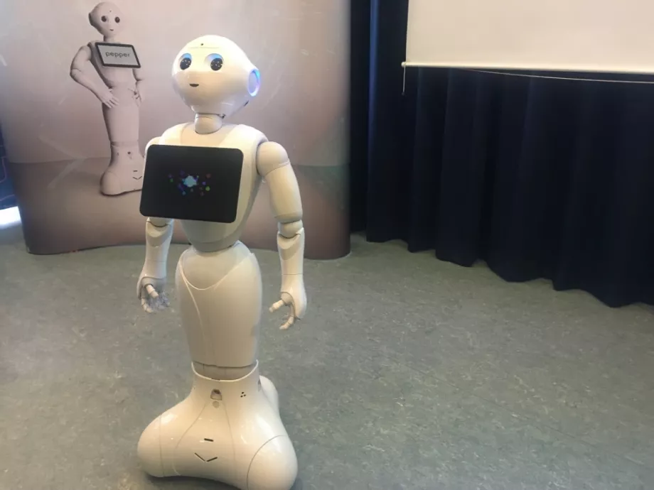 Humanoid robotok bukkanhatnak fel az ügyfélszolgálatokon