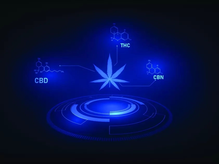 Cannabinoid-előállítás bioreaktorban
