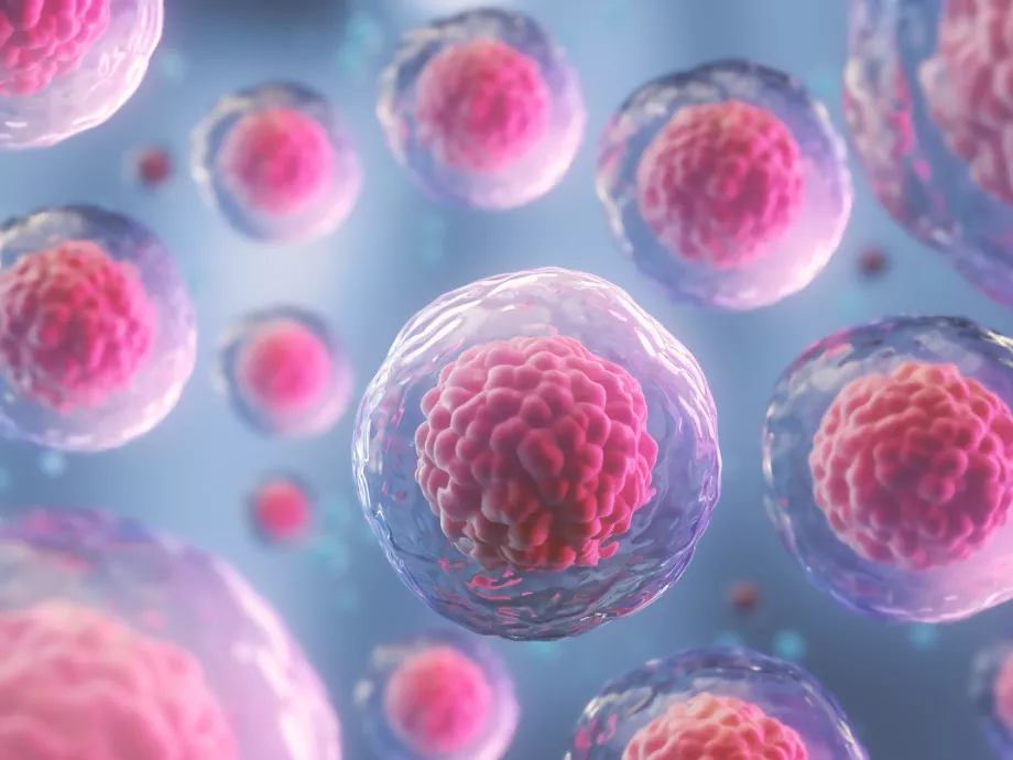 A Future Unicorn finalistái között a Turbine magyar biotechnológiai startup