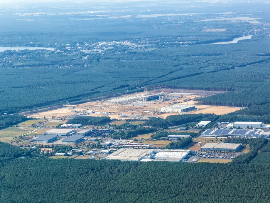 Kivágtak 500 ezer fát Elon Musk kedvéért Berlinben