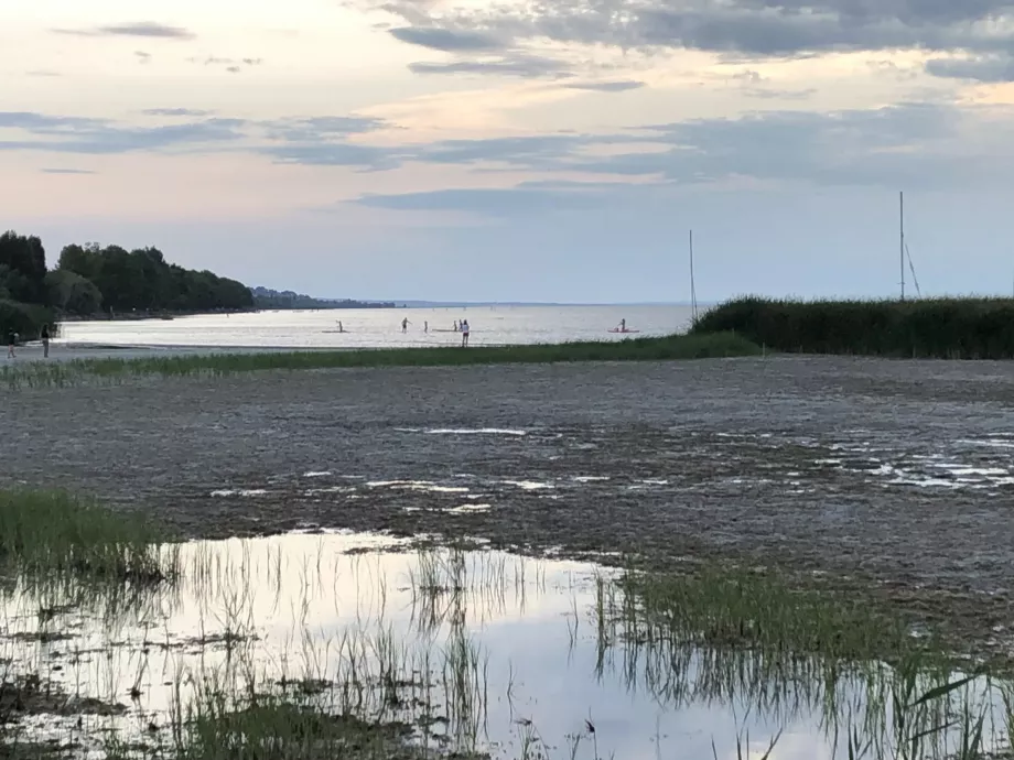 A Balaton múltja figyelmeztet: a tó már átélt a mainál is súlyosabb aszályokat